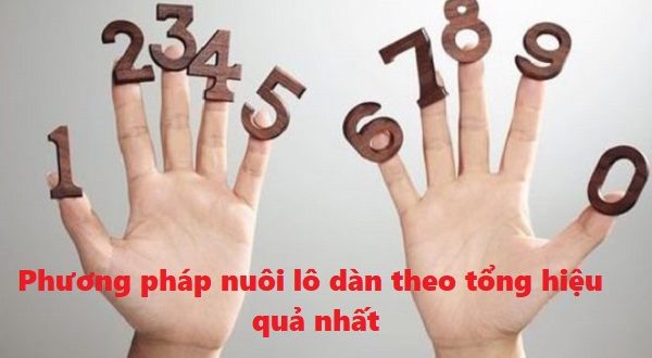 Phương pháp nuôi lô dàn theo tổng hiệu quả nhất